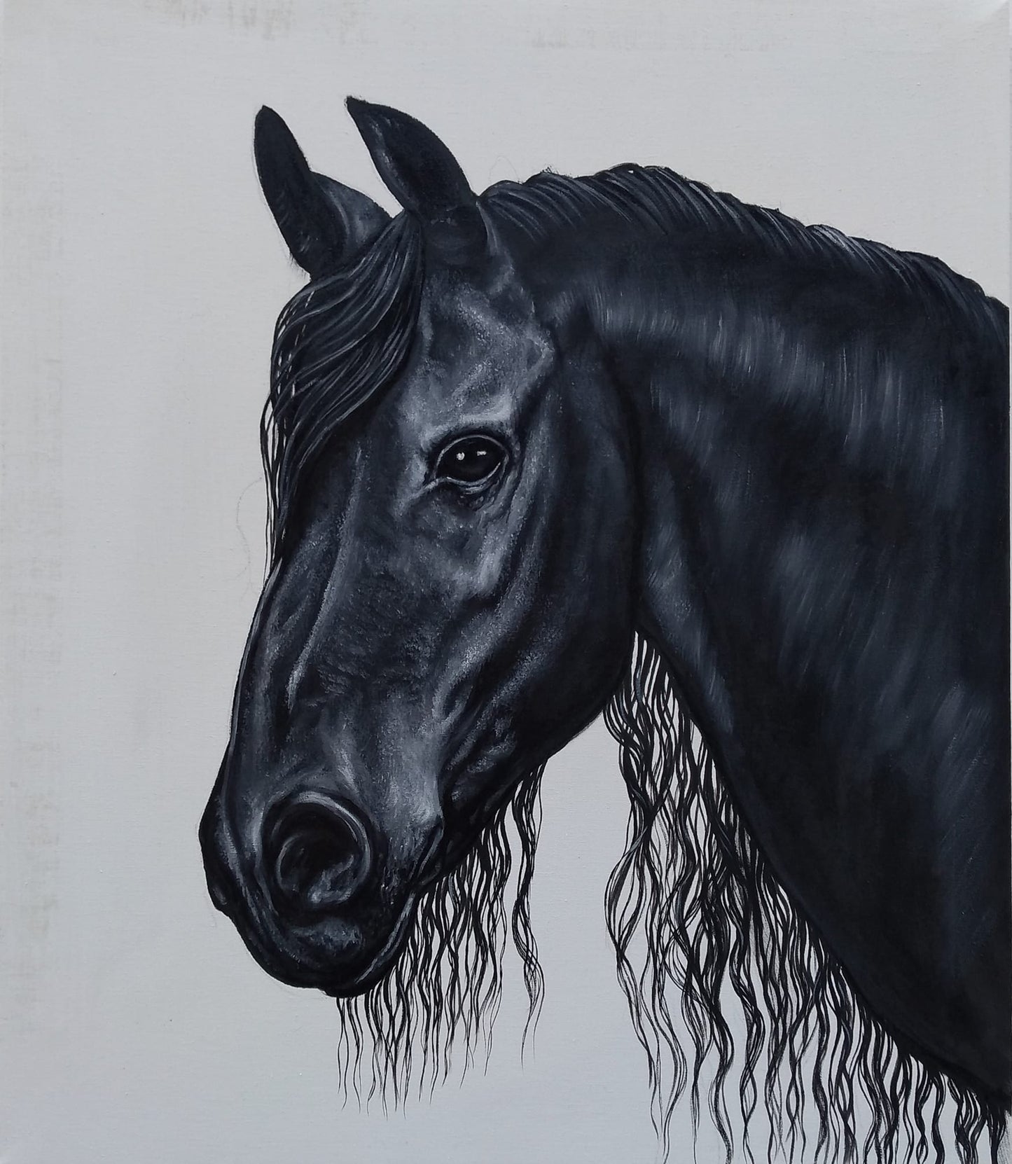 Frison Uno