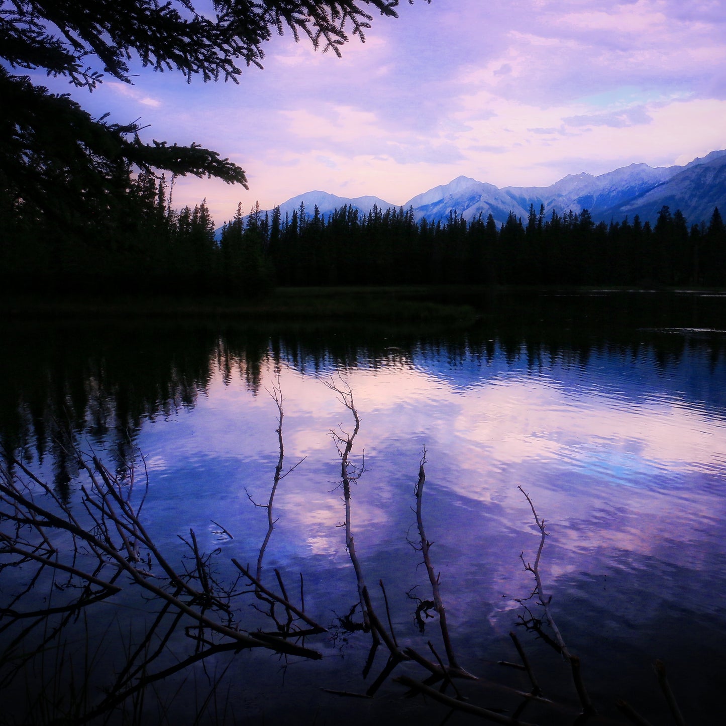 Reflejos.
