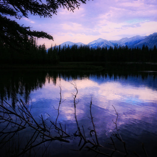 Reflejos.