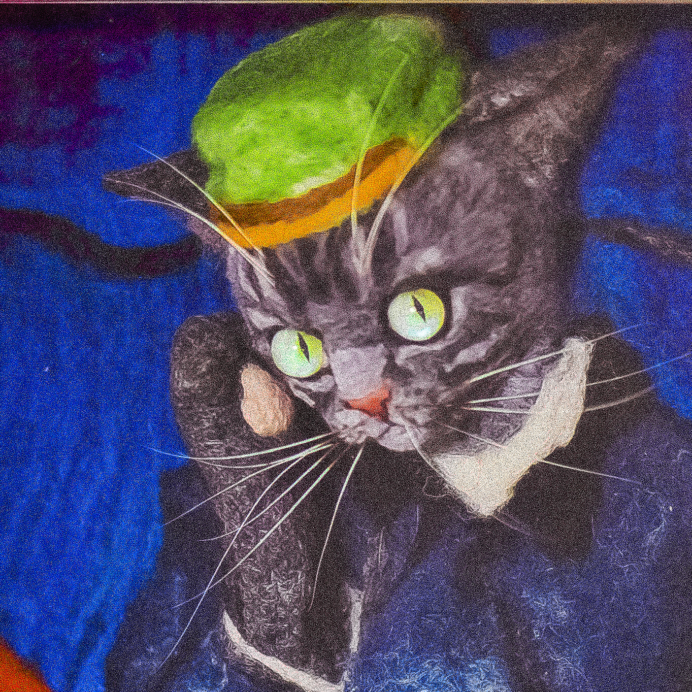 Dr. Gato Gachet.