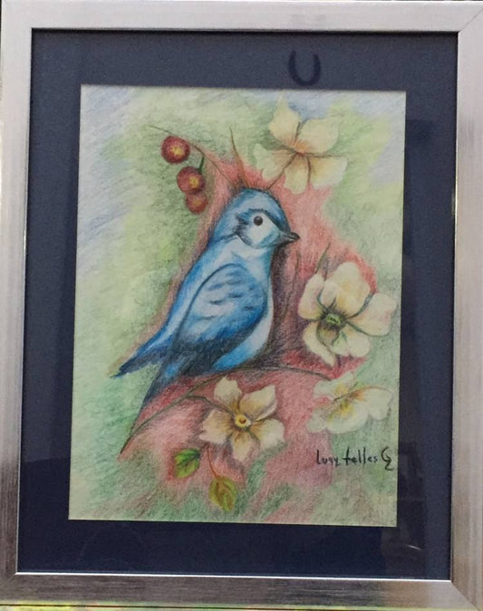 Pájaro azul
