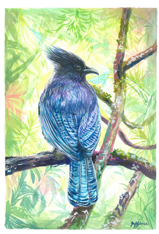 Azul