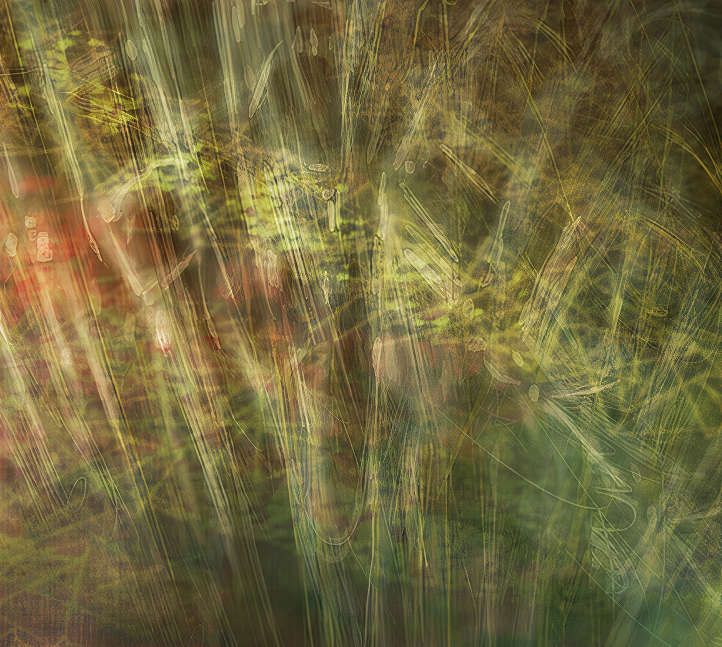 Estudio de la columna cervical 21