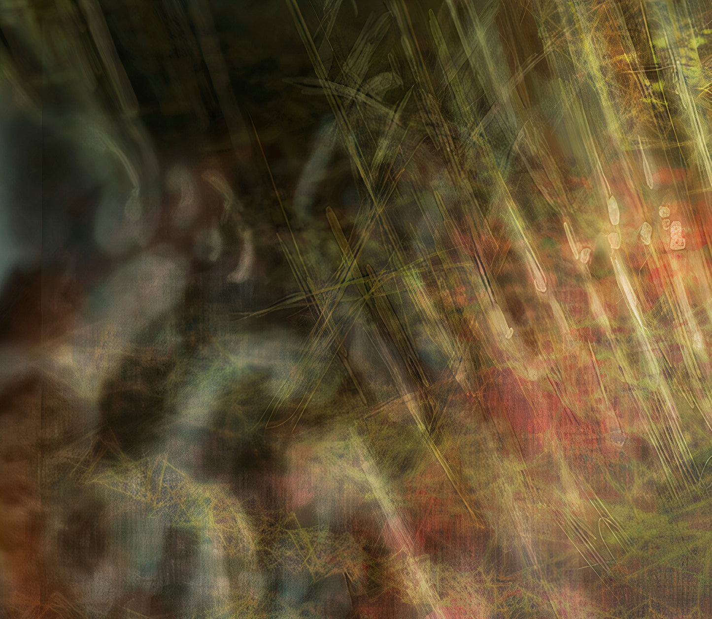 Estudio de la columna cervical 21