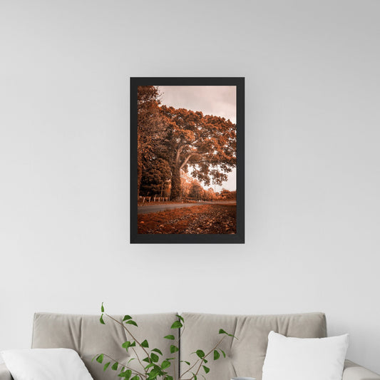 Árbol en otoño