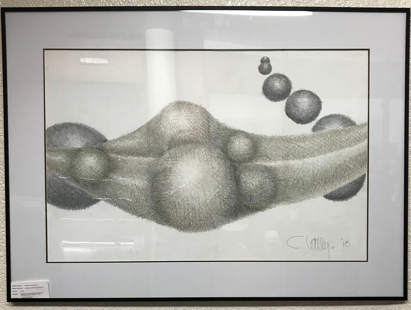 Atrapadas en forma de mujer