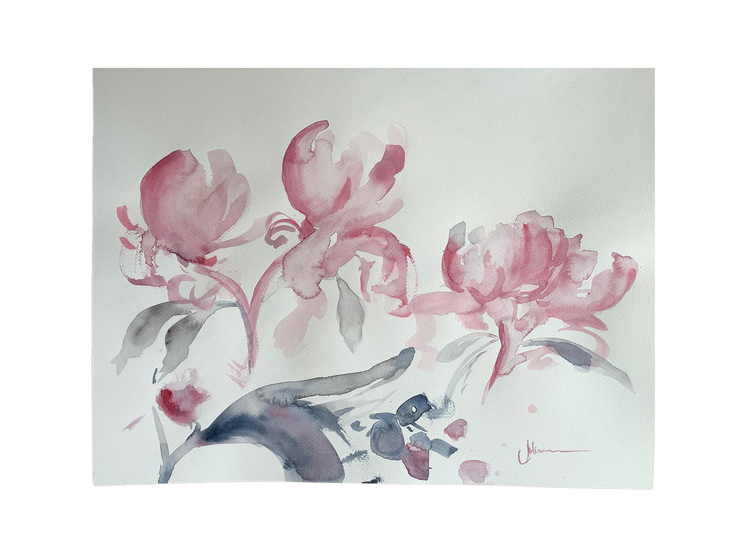 Estudio floral 1.