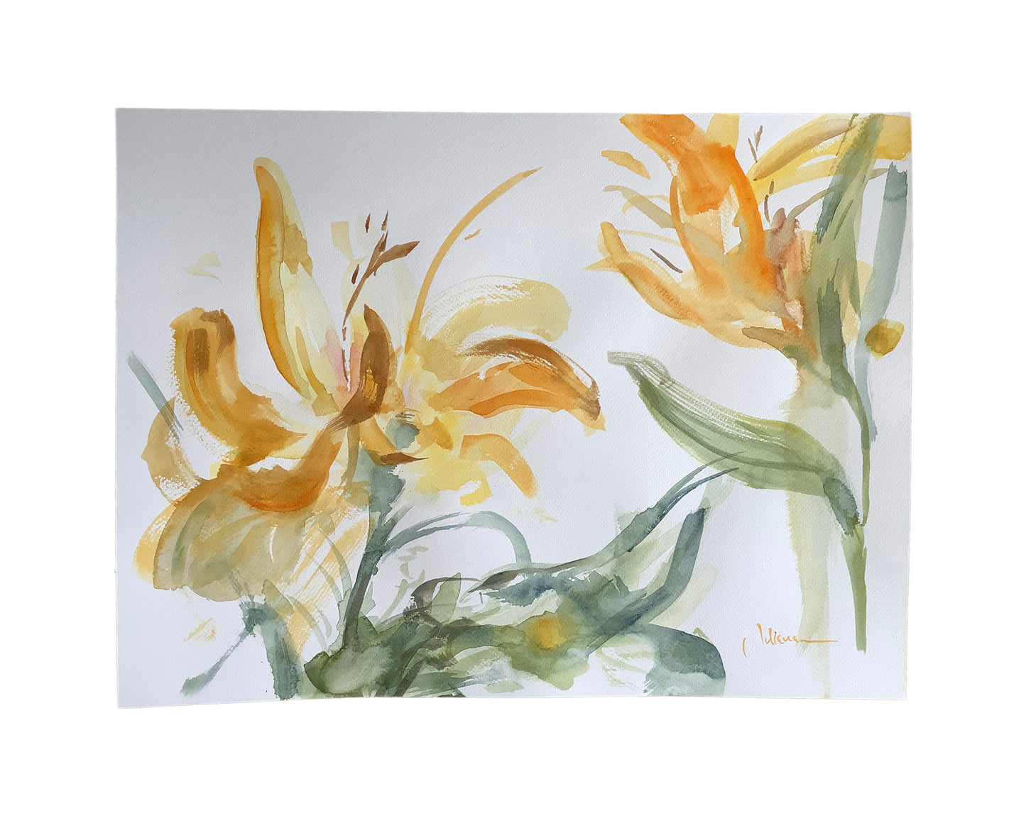 Estudio floral 2.