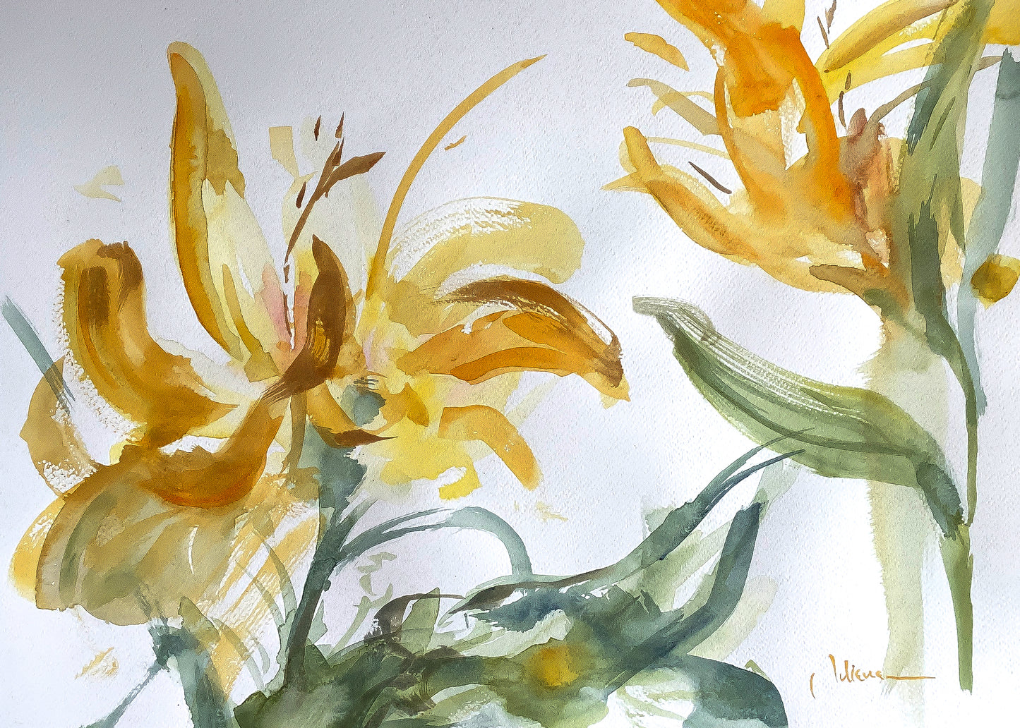 Estudio floral 2.