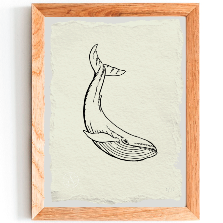 Grabado de ballena