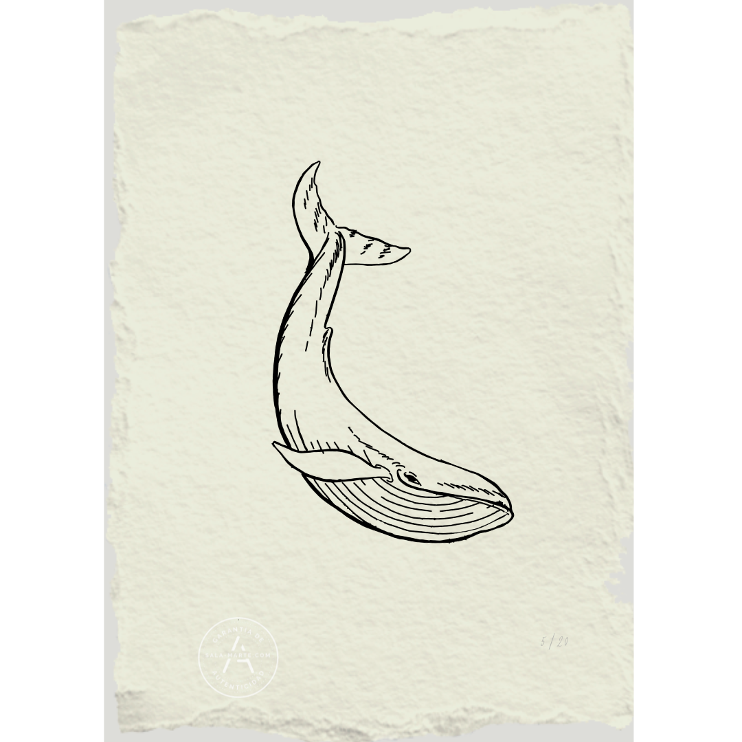Grabado de ballena