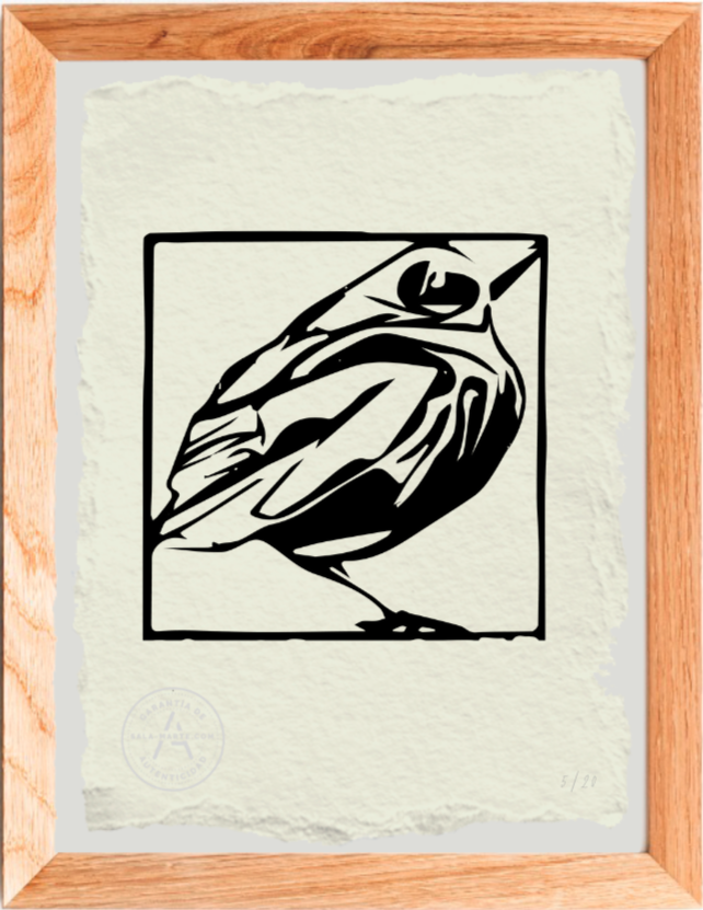 Young thrush - Escher
