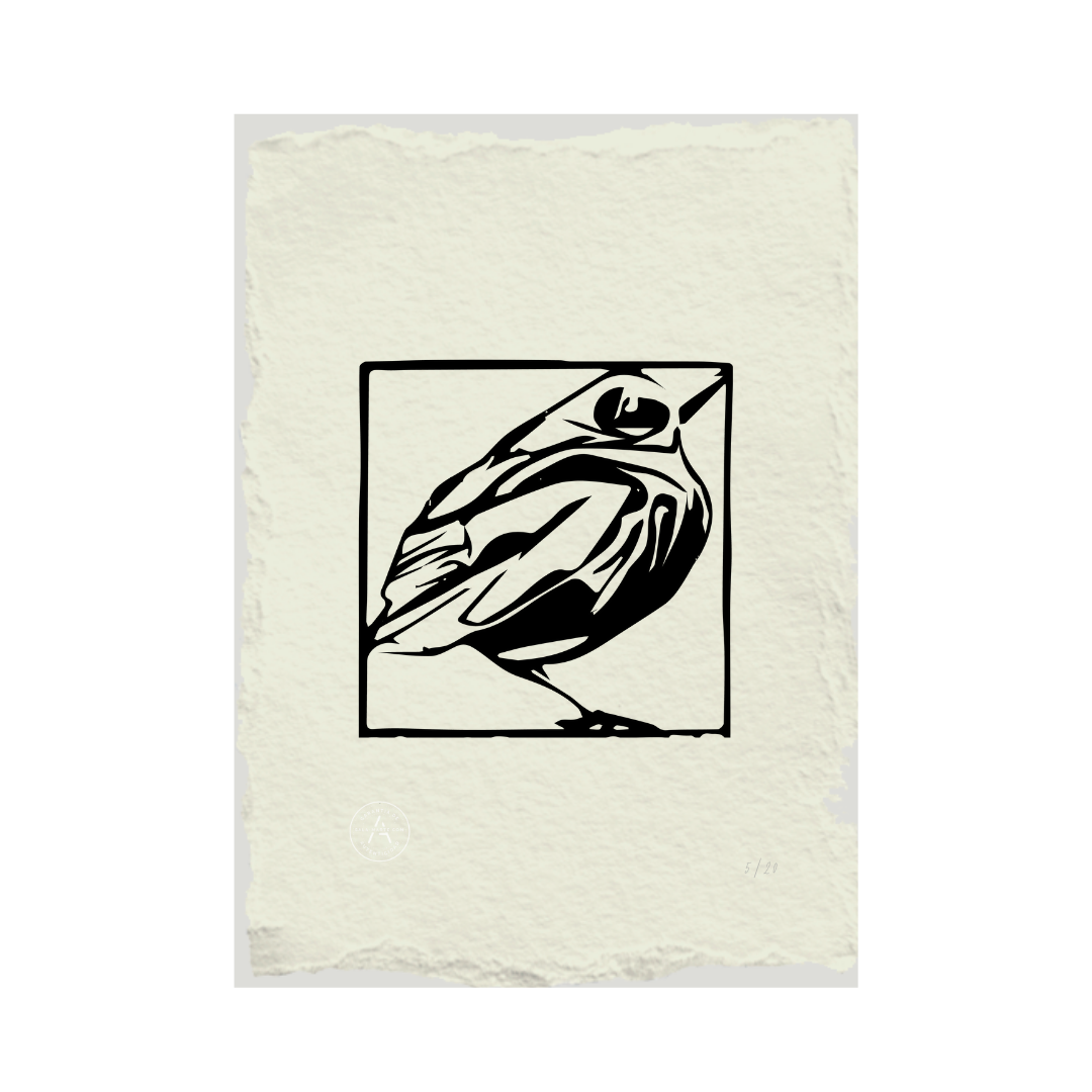 Young thrush - Escher