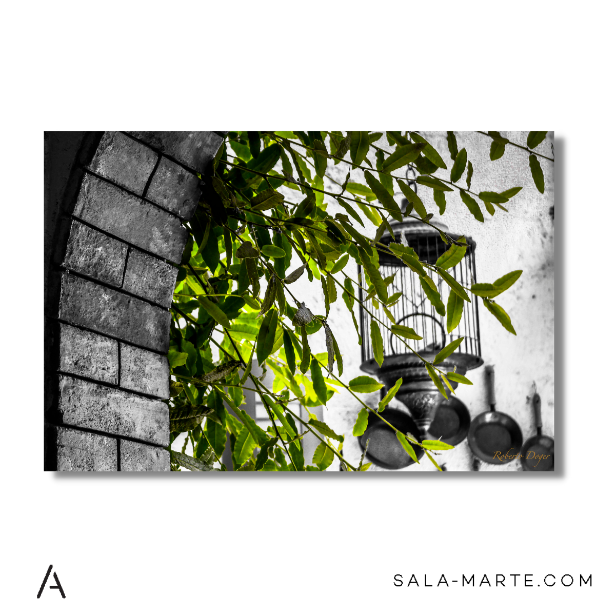 El arco