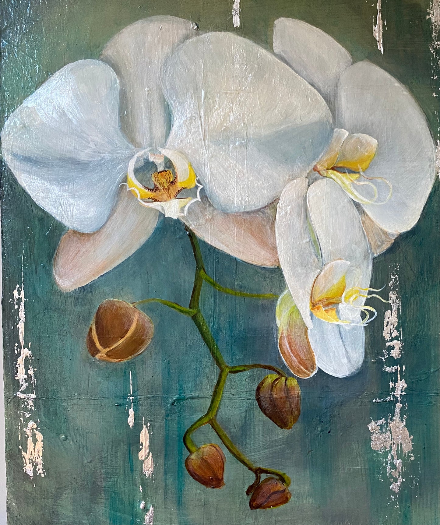 "Orquídeas en primavera"