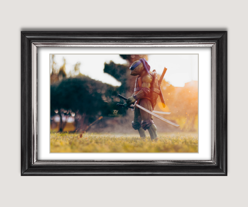 The last Ronin