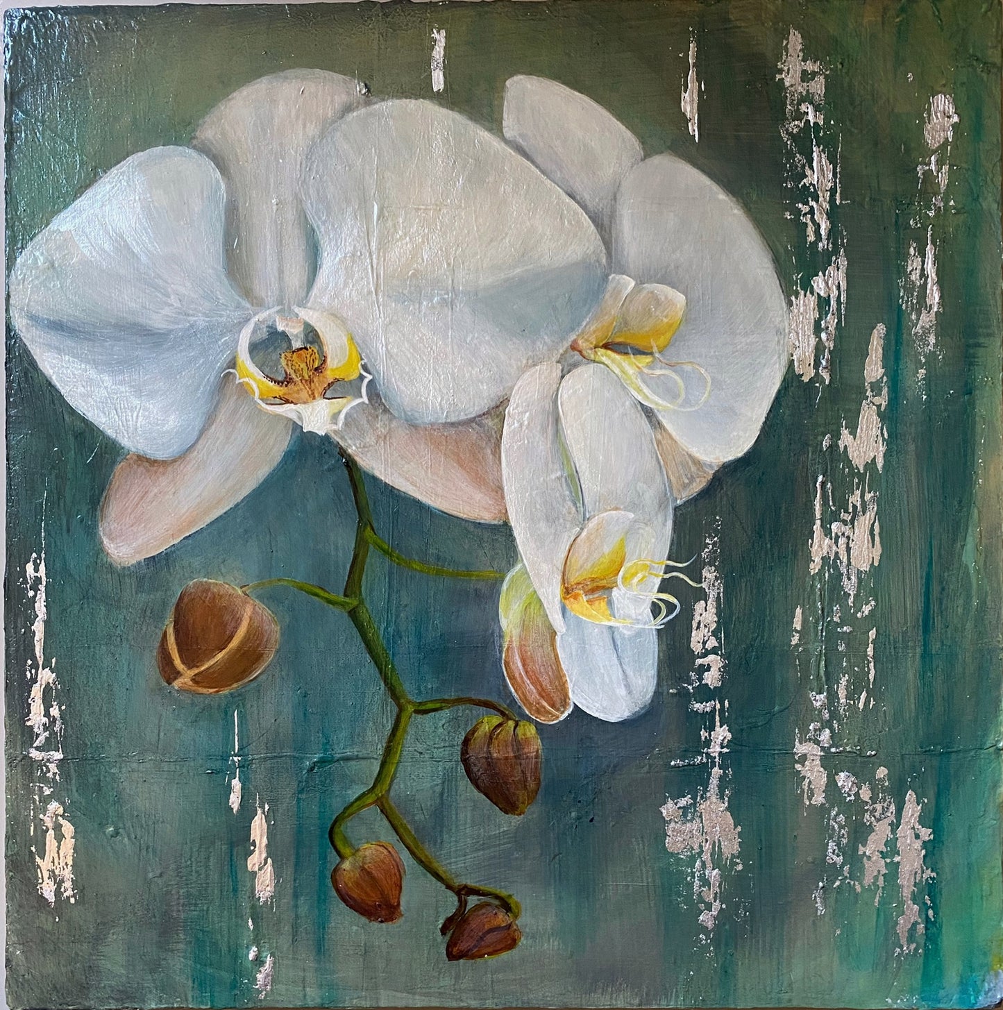 "Orquídeas en primavera"