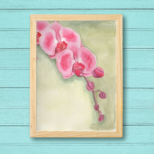 Orquídea en Verano