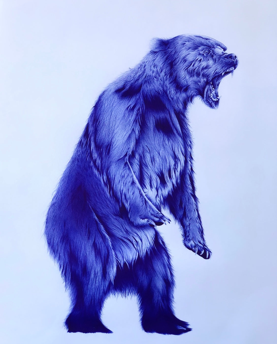 Fuerza de la montaña