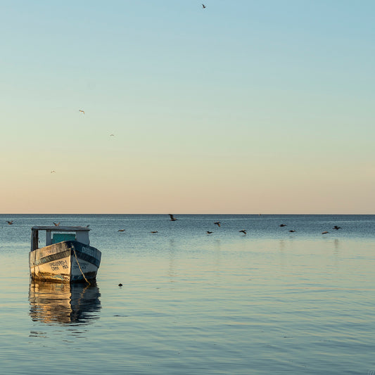 Templanza del mar