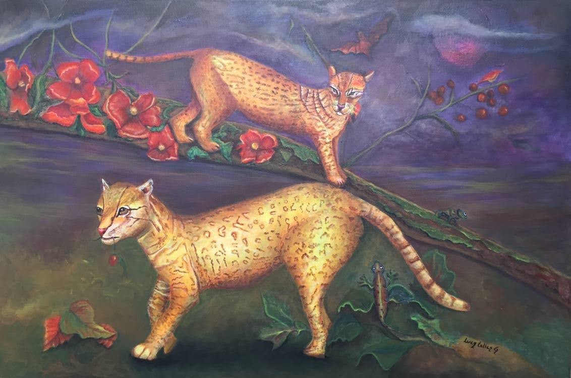 Enamoramiento de los Ocelotes