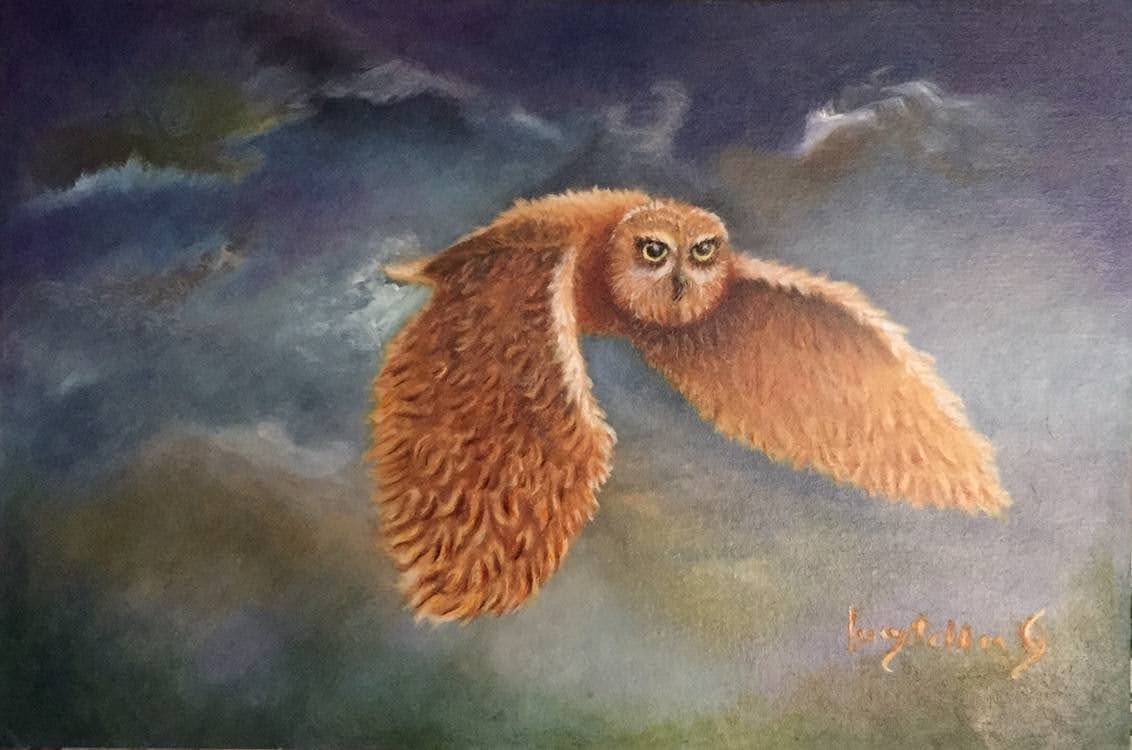 Vuelo nocturno
