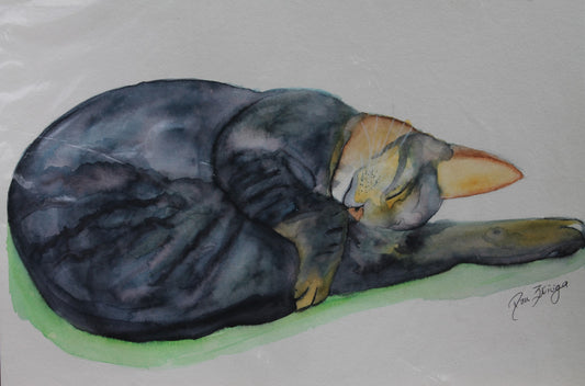 GATO DURMIENDO