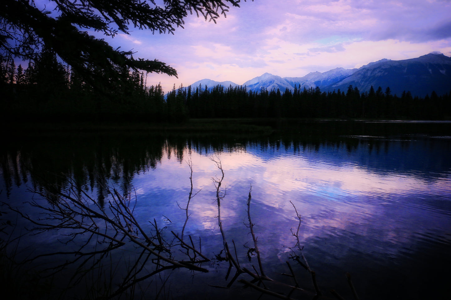 Reflejos.