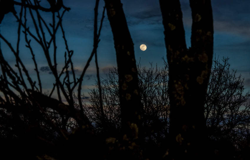 Nocturno