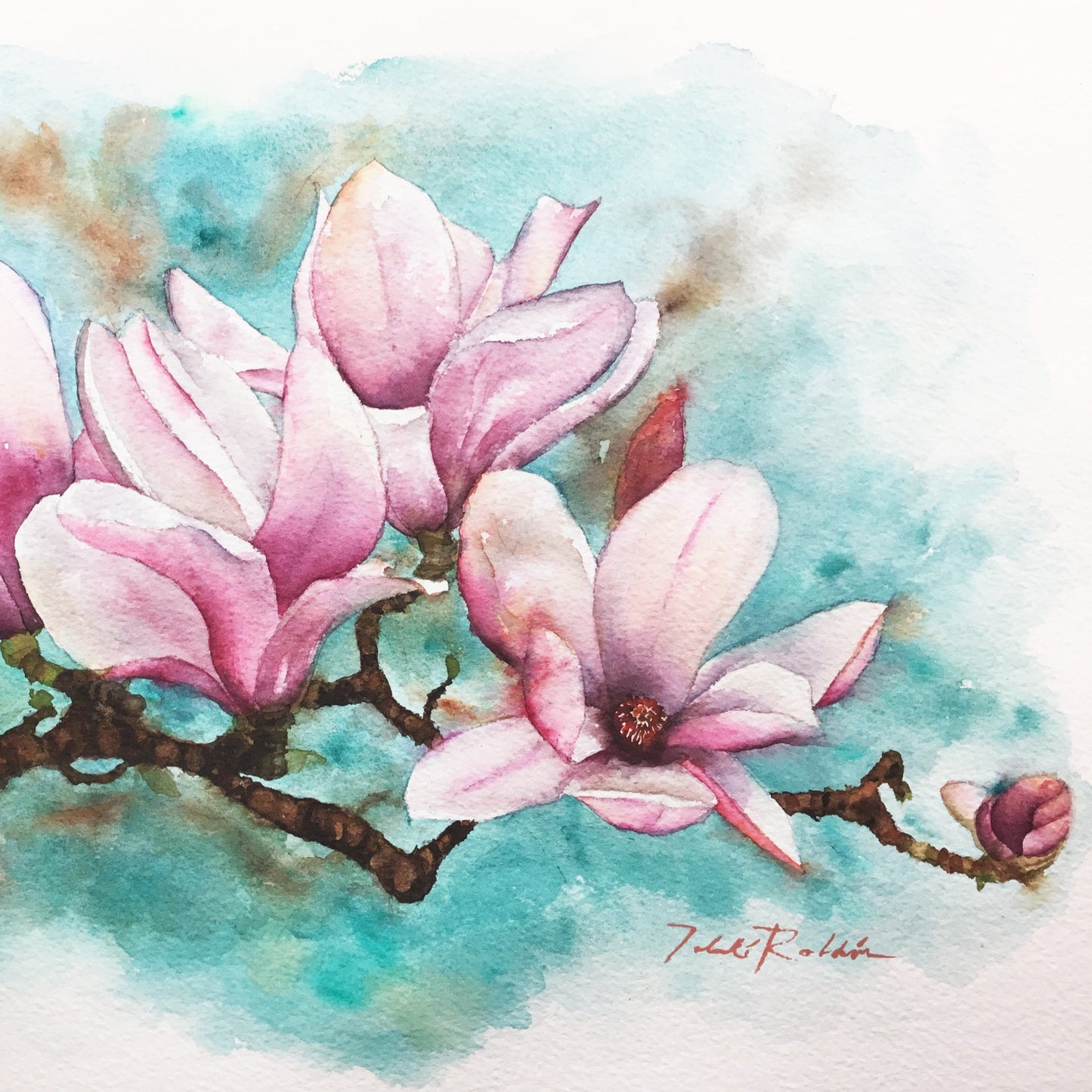Magnolias
