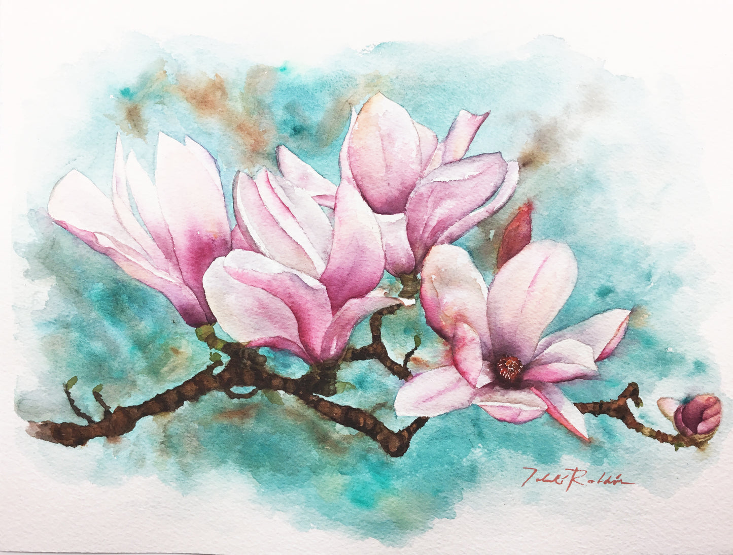 Magnolias