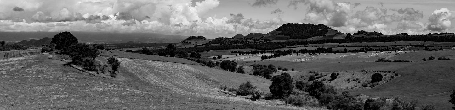 Naturaleza Congelada