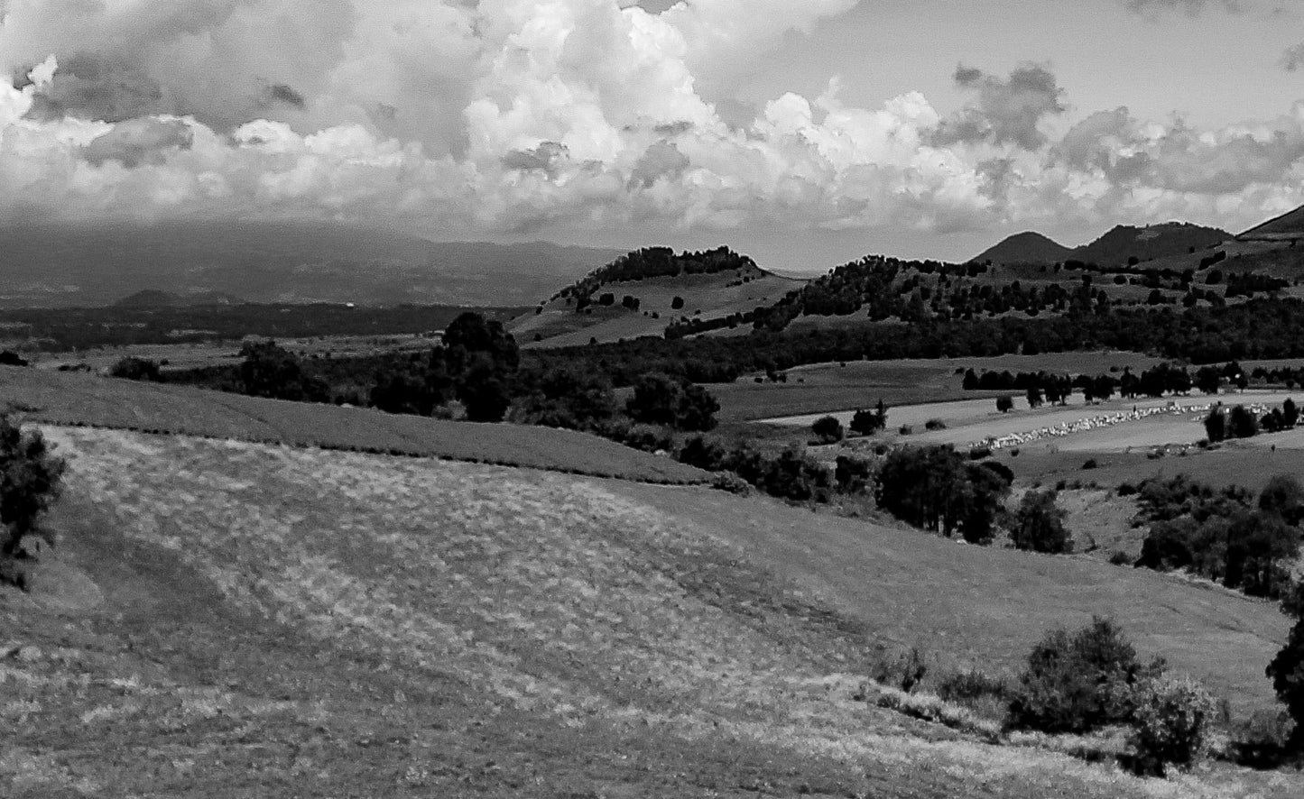 Naturaleza Congelada