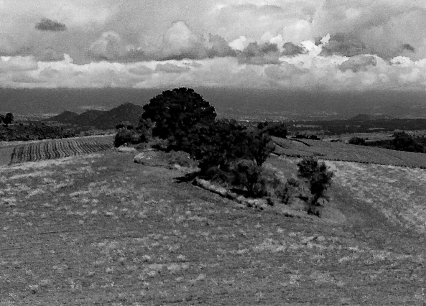 Naturaleza Congelada