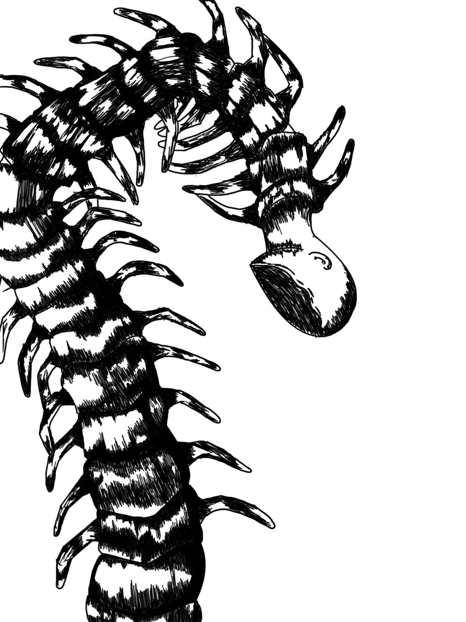 Metamorfosis