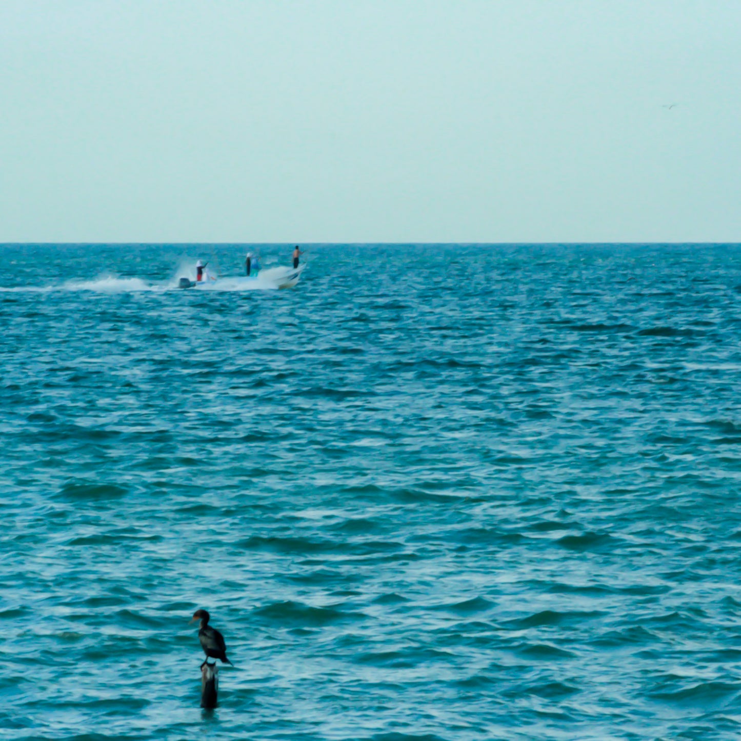 Oceánico