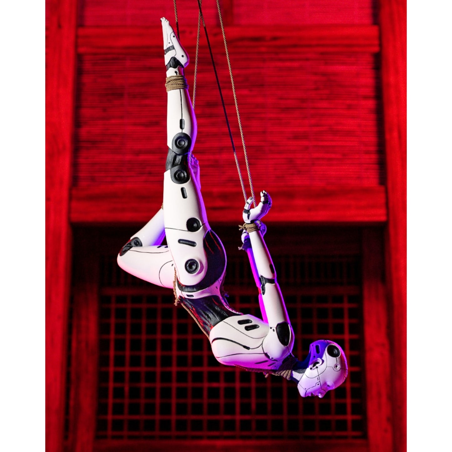 Neonshibari