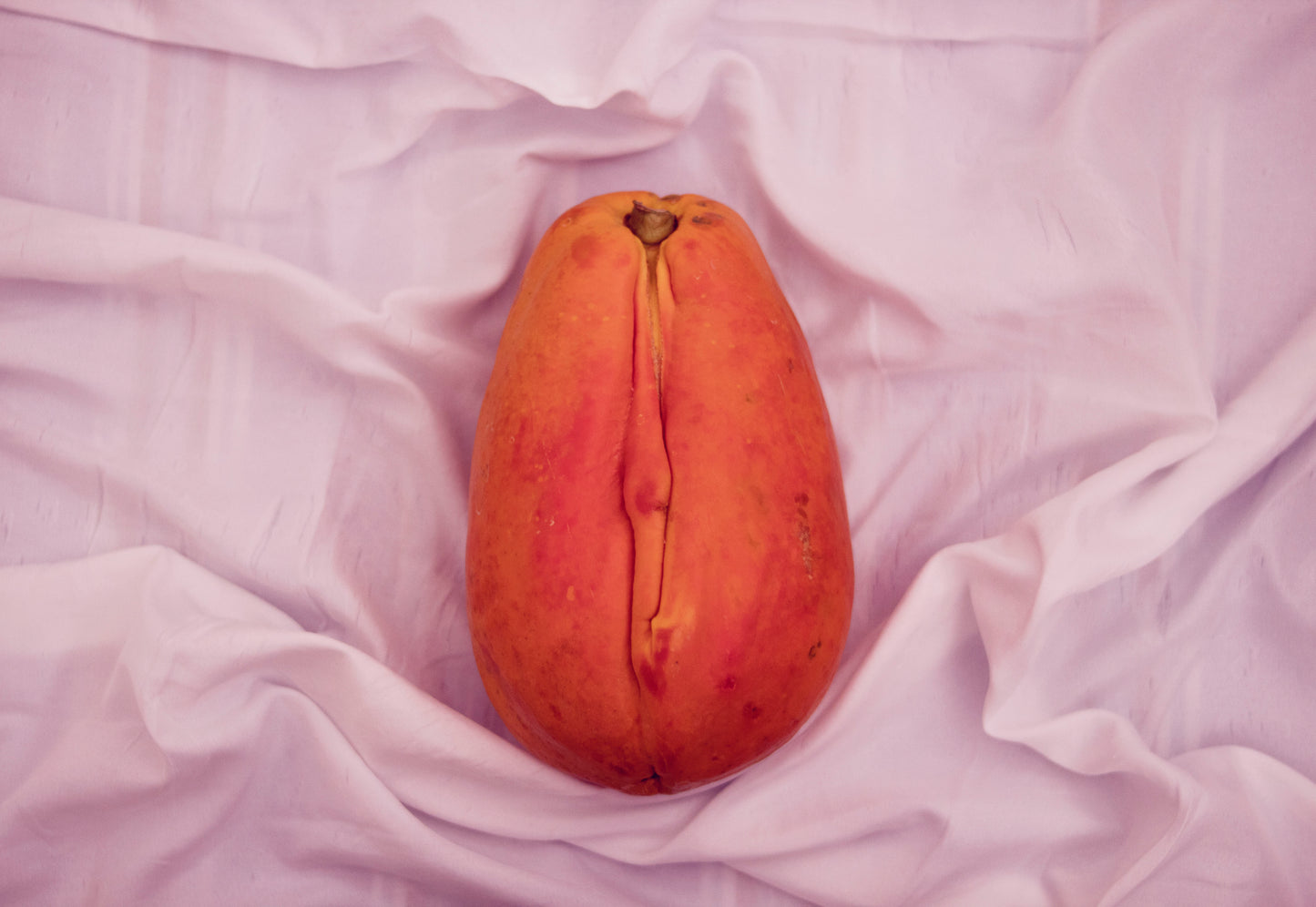 Le fruit