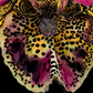 Arte original - Inmarcesible 4