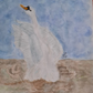 Cisne