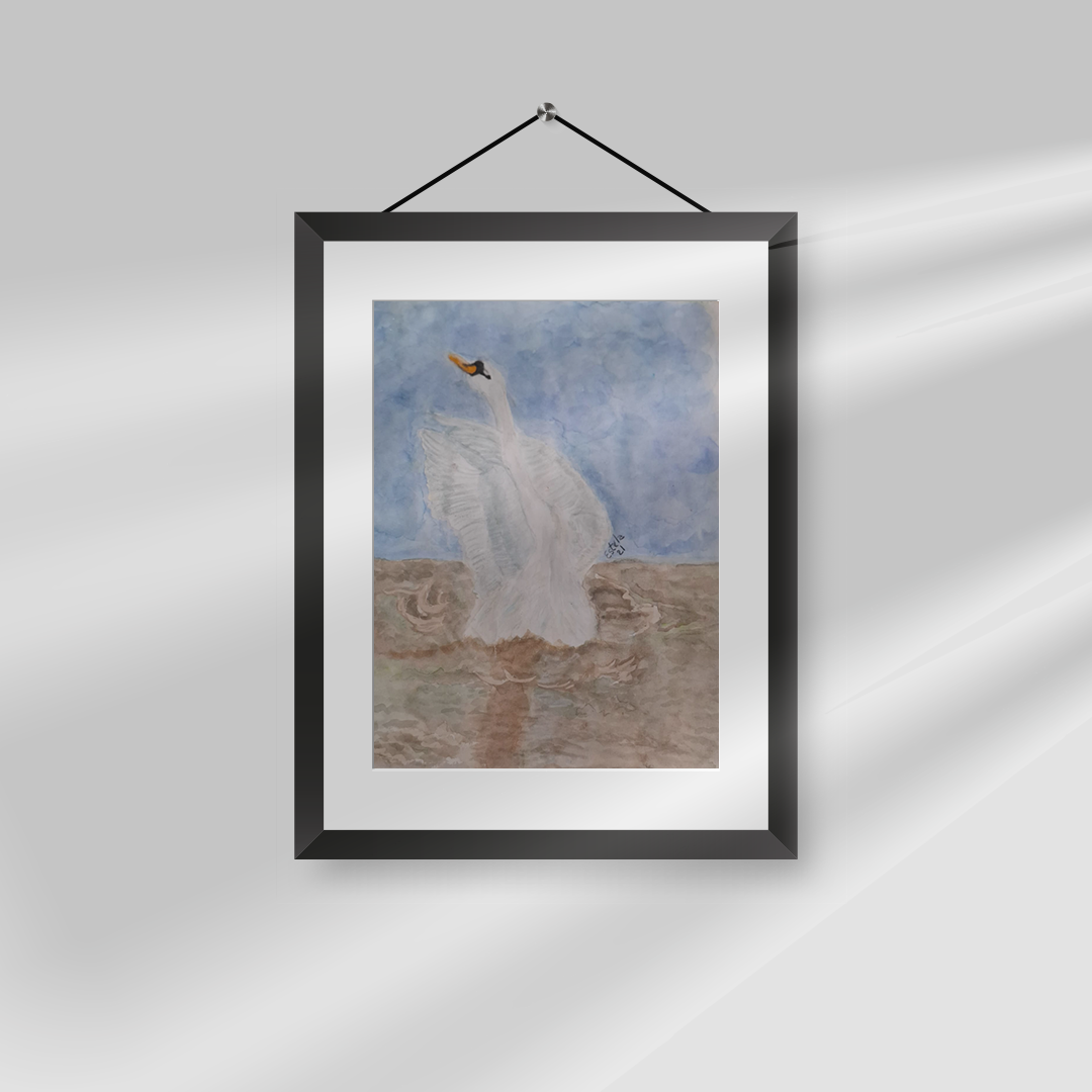 Cisne