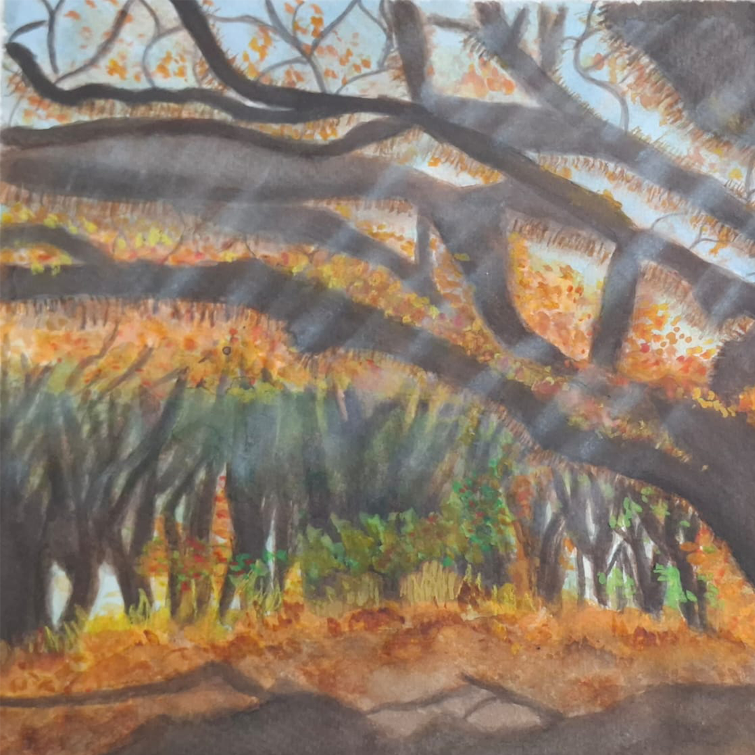 Bosque