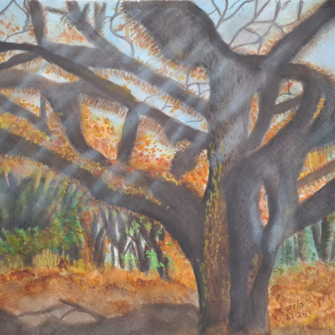 Bosque