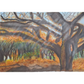 Bosque