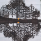 Reflejos