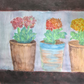 Cuatro hortensias
