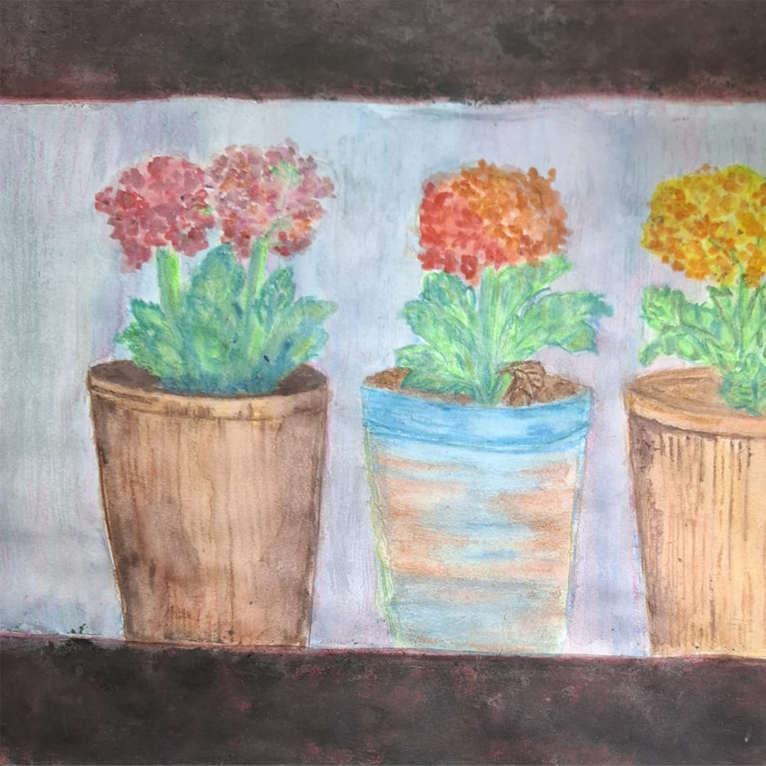 Cuatro hortensias