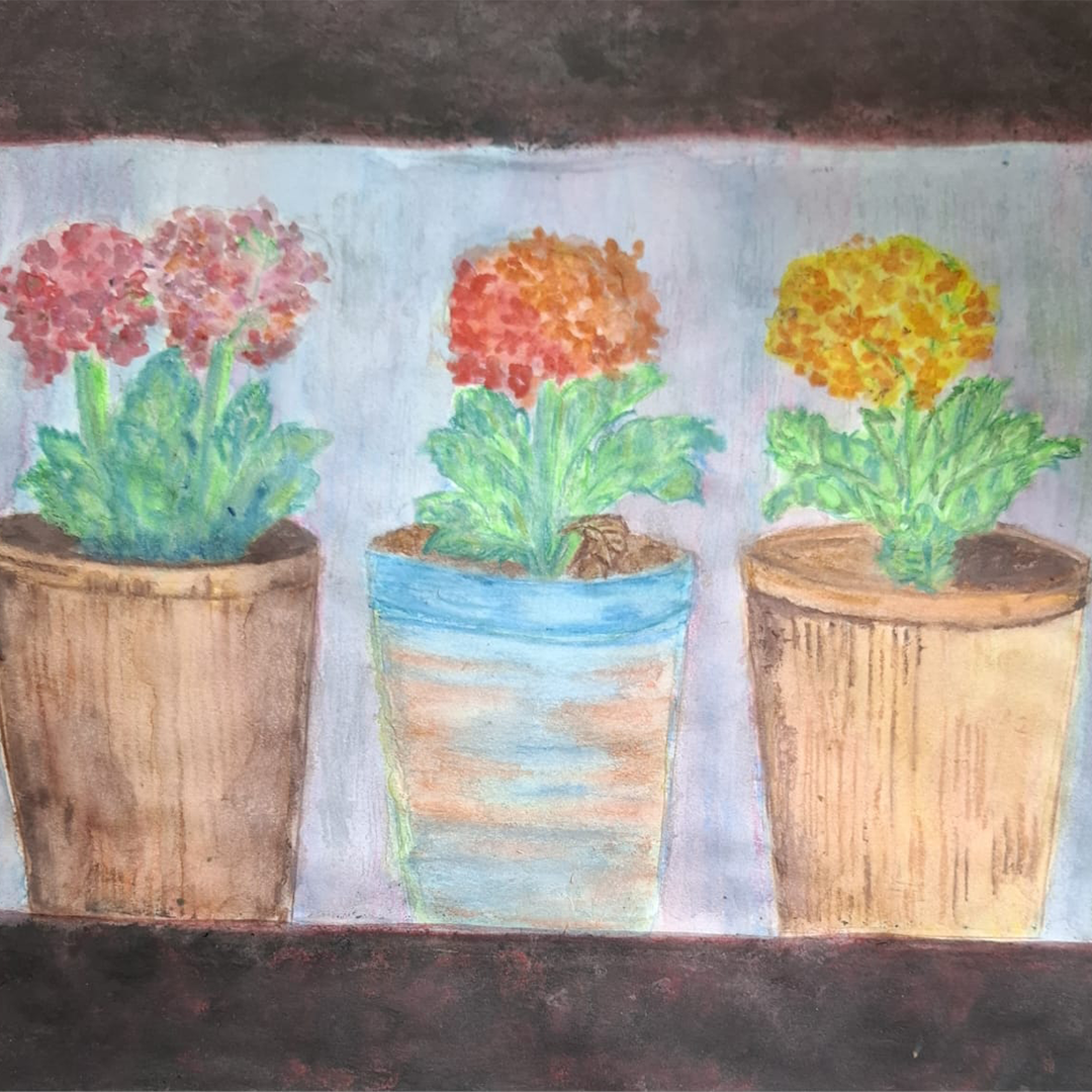 Cuatro hortensias