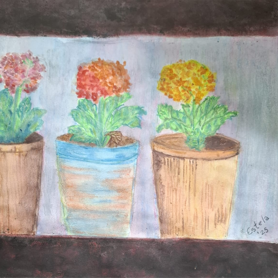 Cuatro hortensias