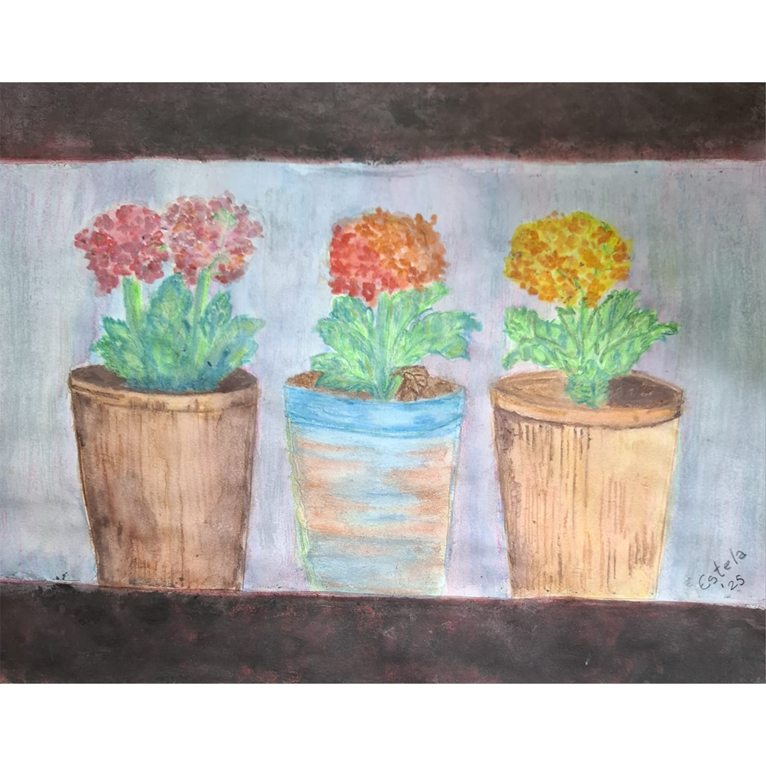 Cuatro hortensias